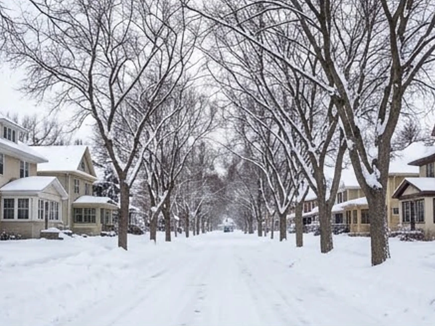 Saint Paul older neighborhood with boulevard trees, winter