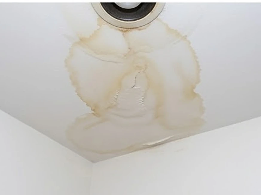 Water-stained ceiling drywall, summer: mold inspection in Edina, MN