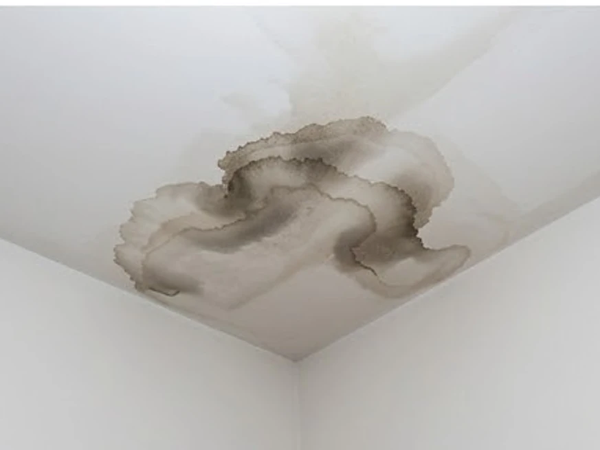 Water-stained ceiling drywall, spring: mold inspection in Mankato, MN