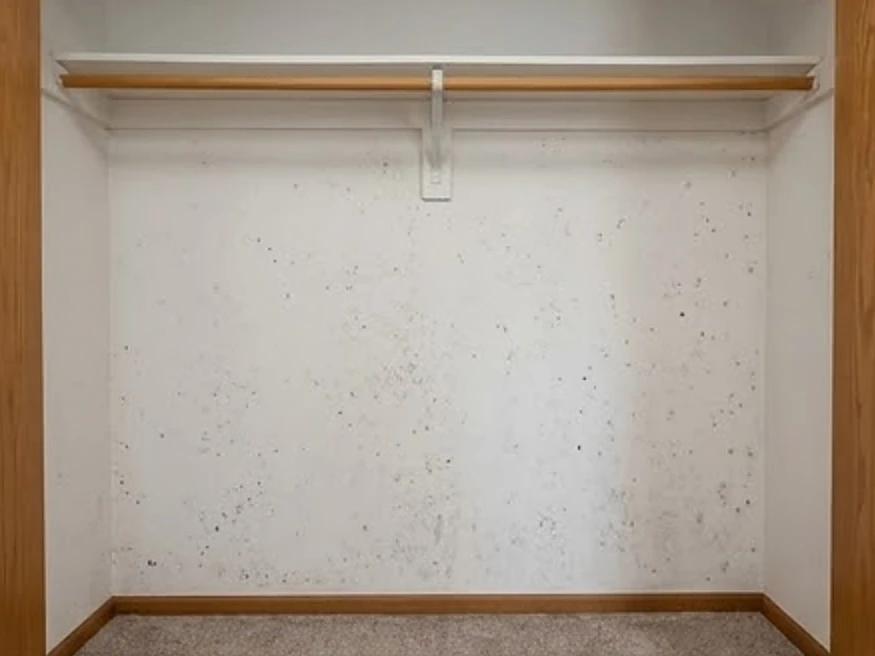 Closet back wall with spotting, winter: mold inspection in Marshalltown, IA