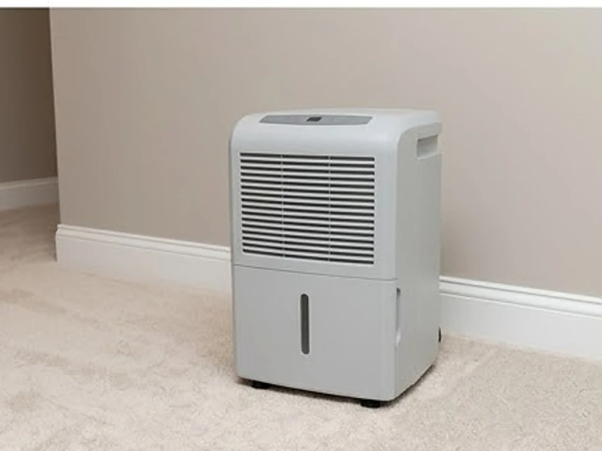 Dehumidifier in a finished basement, newer home: mold inspection in Eden Prairie, MN
