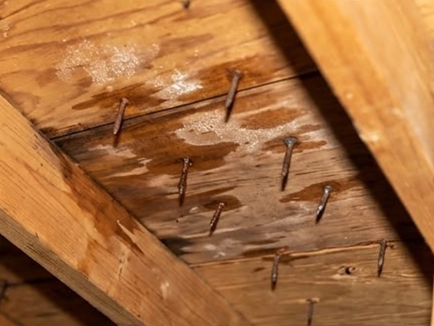 Attic frost on nails, early spring: mold inspection in Eagan, MN