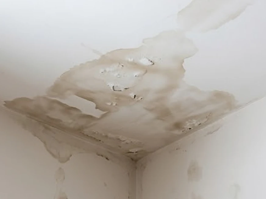 Stained ceiling below an ice dam, early spring: mold inspection in Eagan, MN