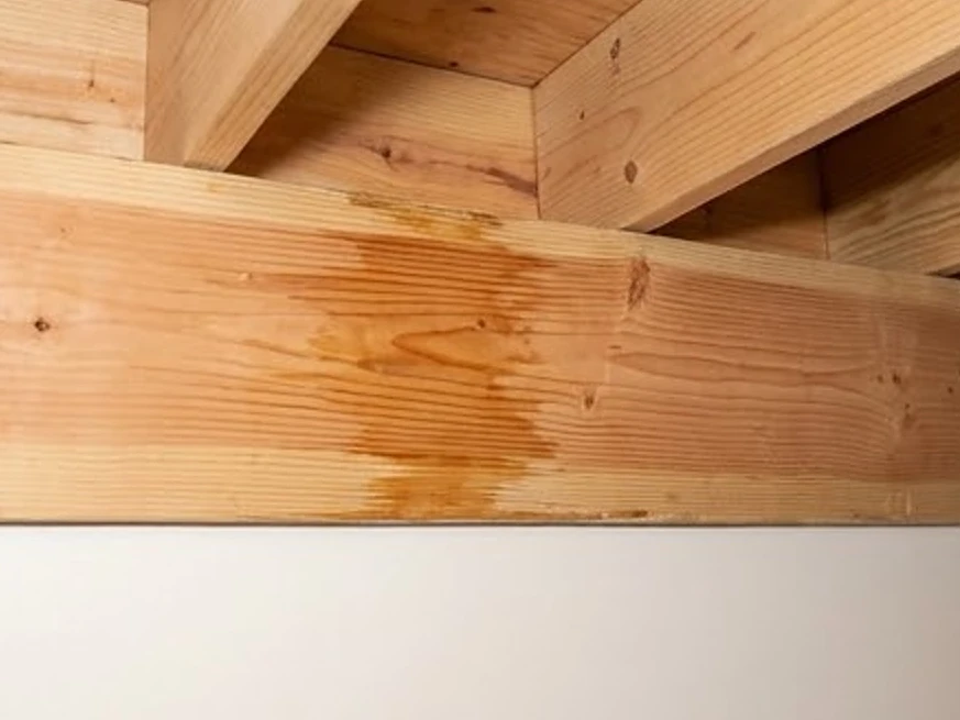 Rim joist with staining, cleaner newer: mold inspection in West Saint Paul, MN