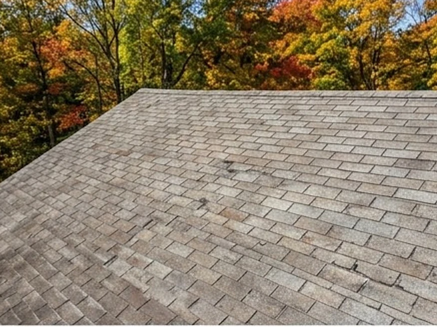 Old three-tab shingle roof, autumn: roof inspection in Eagan, MN