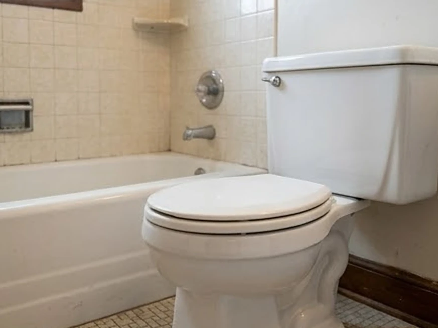 Toilet in an older bathroom, older home: sewer scope inspection in Edina, MN